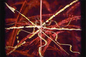 Analogfilm