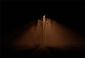 Im gelben Licht