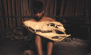 Lanawaru
